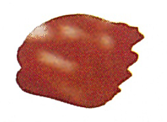 Цвета «красная охра»